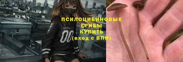 индика Михайловка