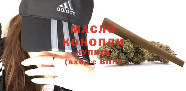 индика Михайловка