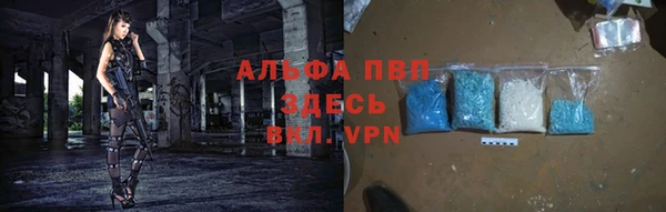 индика Михайловка