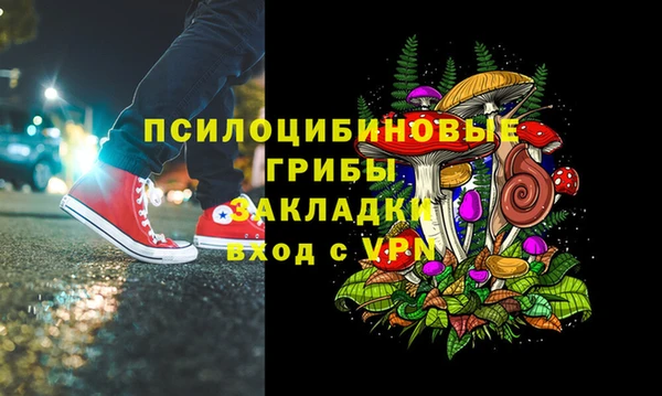 дурь Михайлов
