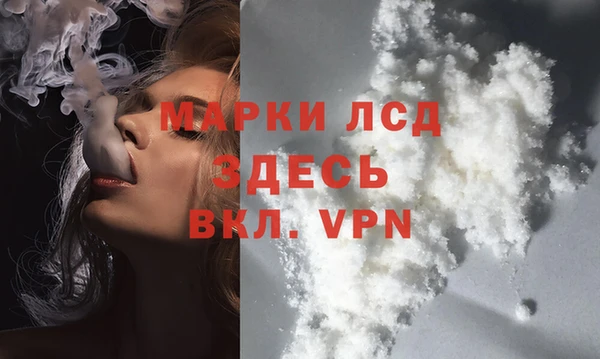 индика Михайловка