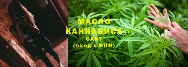 индика Михайловка