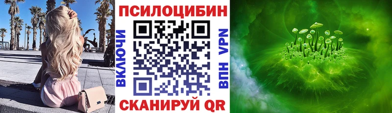 Псилоцибиновые грибы MAGIC MUSHROOMS  сколько стоит  mega tor  Заозёрск 